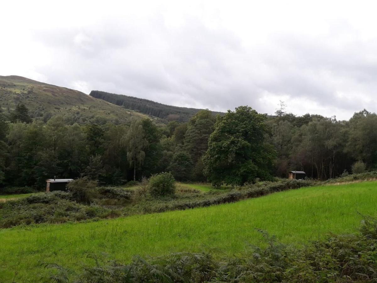 Villa Cosy Woodland Off Grid Shepherds Hut - Rowan Castle Douglas Exterior foto