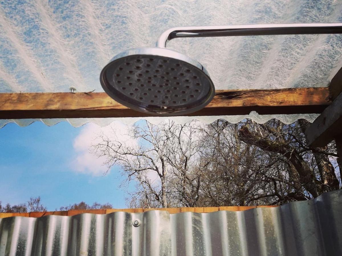 Villa Cosy Woodland Off Grid Shepherds Hut - Rowan Castle Douglas Exterior foto