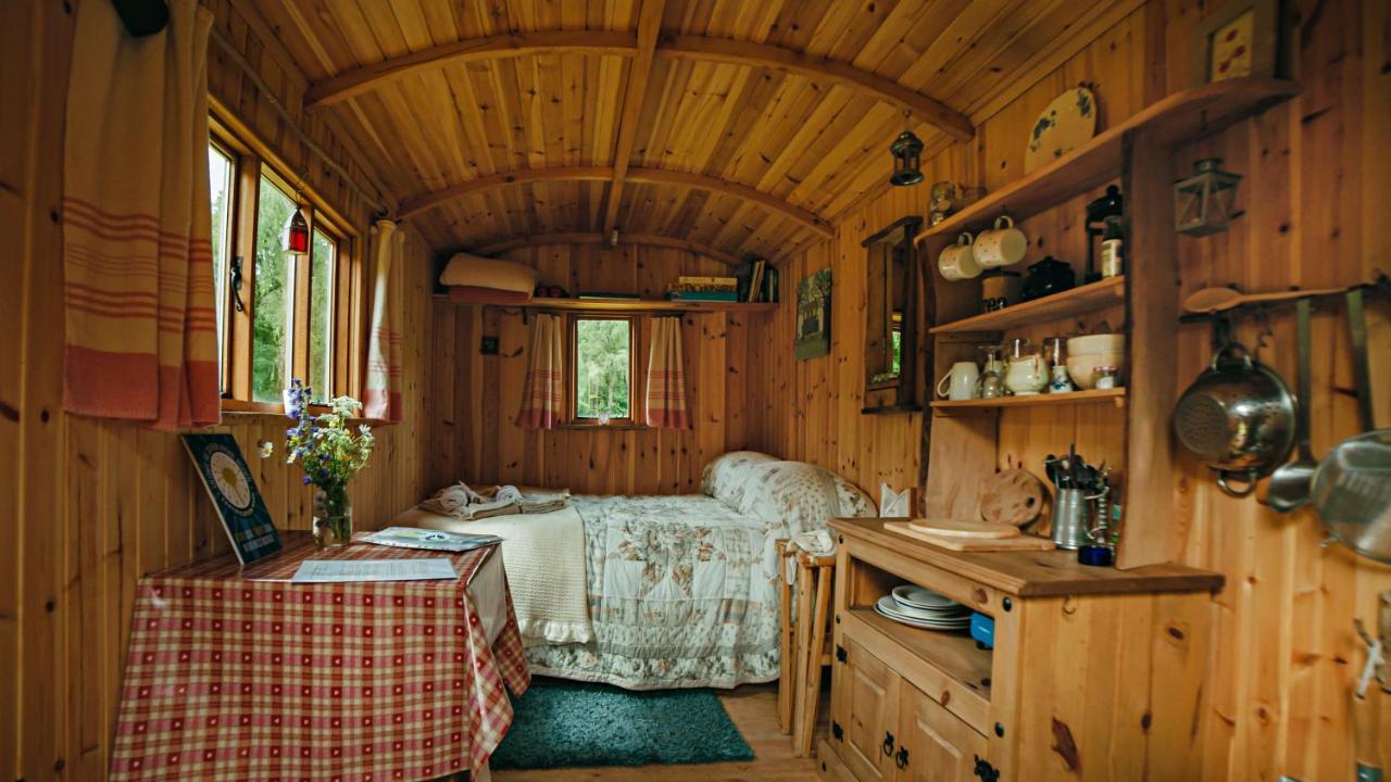 Villa Cosy Woodland Off Grid Shepherds Hut - Rowan Castle Douglas Exterior foto