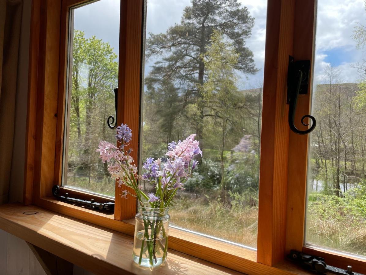 Villa Cosy Woodland Off Grid Shepherds Hut - Rowan Castle Douglas Exterior foto