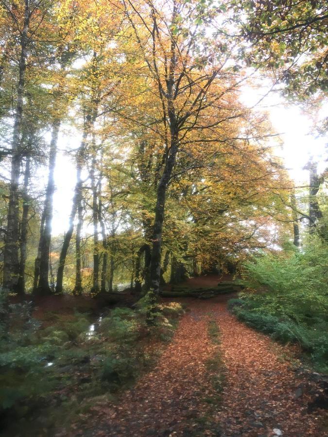 Villa Cosy Woodland Off Grid Shepherds Hut - Rowan Castle Douglas Exterior foto