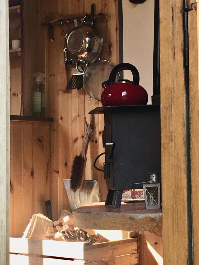 Villa Cosy Woodland Off Grid Shepherds Hut - Rowan Castle Douglas Exterior foto